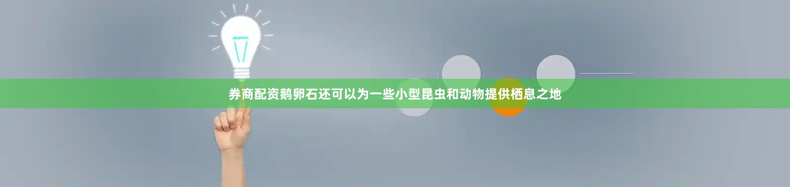 券商配资鹅卵石还可以为一些小型昆虫和动物提供栖息之地