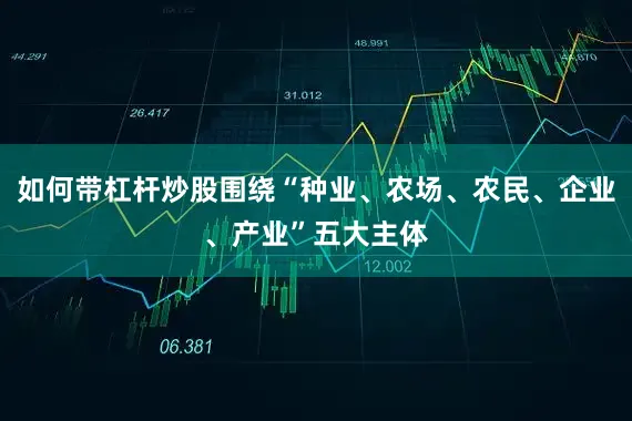 如何带杠杆炒股围绕“种业、农场、农民、企业、产业”五大主体