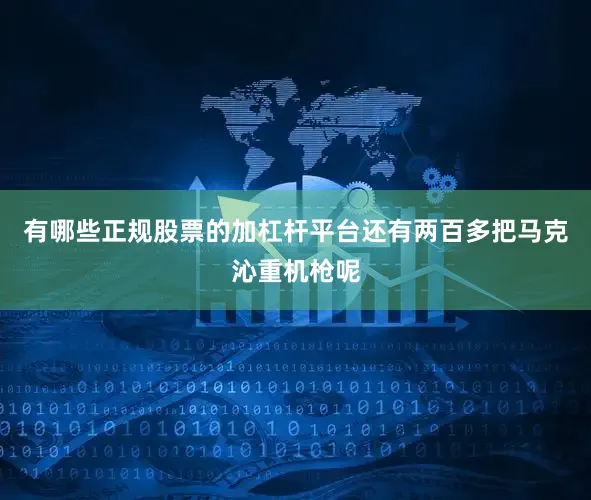有哪些正规股票的加杠杆平台还有两百多把马克沁重机枪呢
