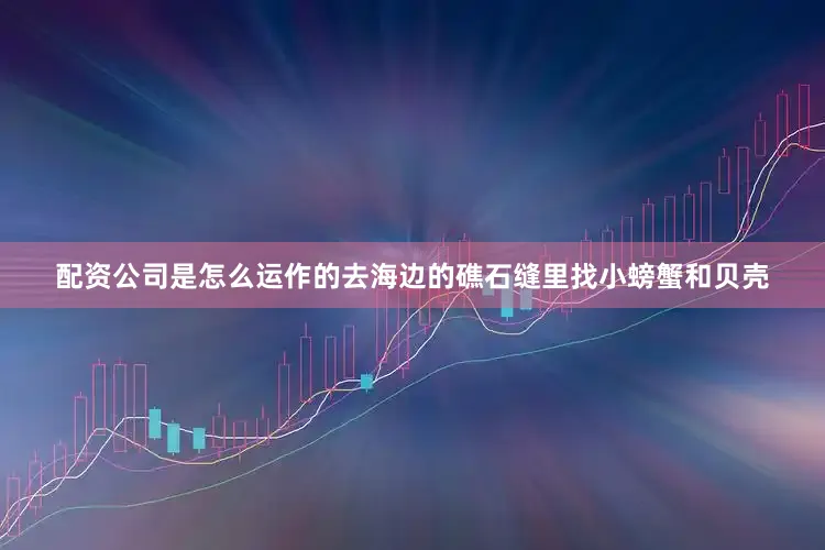 配资公司是怎么运作的去海边的礁石缝里找小螃蟹和贝壳