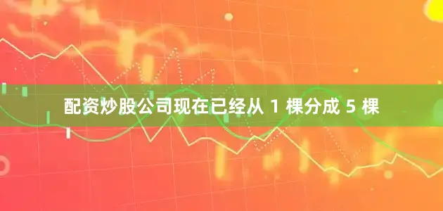 配资炒股公司现在已经从 1 棵分成 5 棵