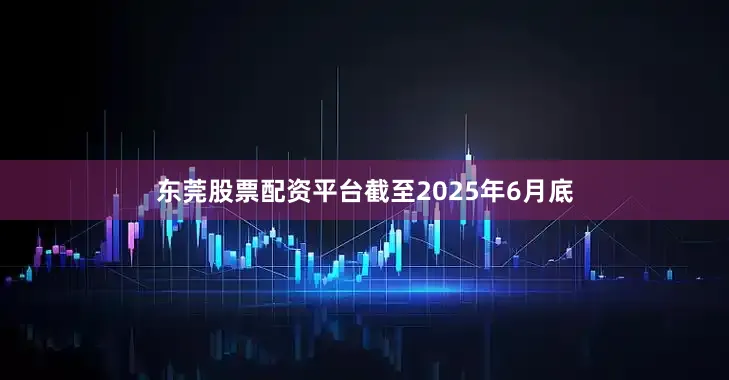 东莞股票配资平台截至2025年6月底