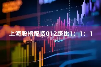 上海股指配资　　012路比1：1：1